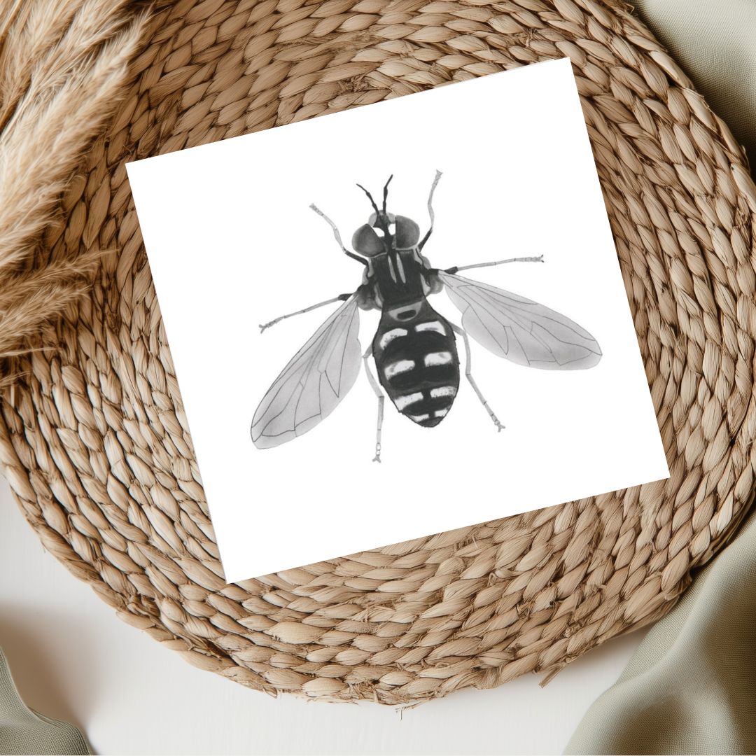 A beautifully hand-illustrated greeting card featuring a hover fly, perfect for sending thoughtful messages to nature enthusiasts and insect admirers. Available at Libra Fine Arts. (librafinearts.co.uk)

