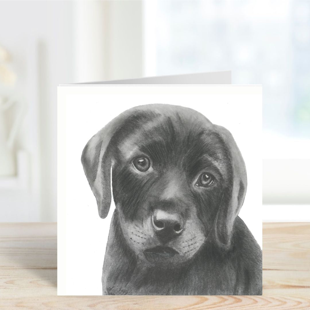 a Hand Drawn Labrador Greeting Card From Libra Fine Arts