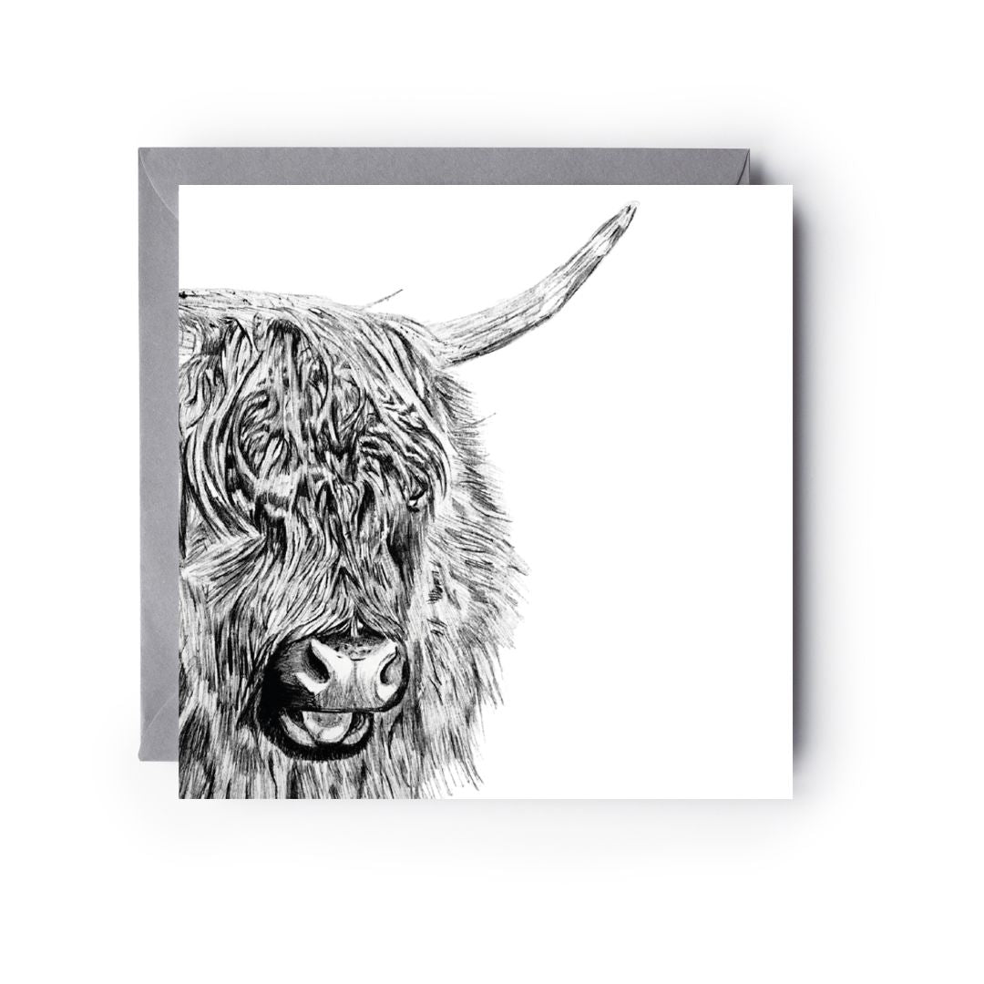 A Hand Drawn Highland Cow  Greeting Card From Libra Fine Arts