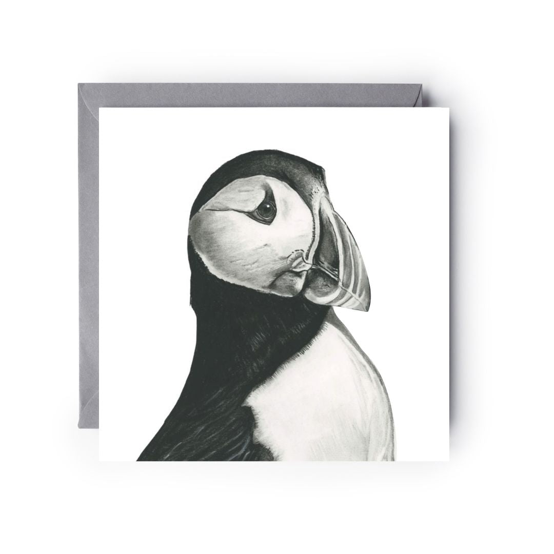 A Hand Drawn Puffin Greeting Card From Libra Fine Arts