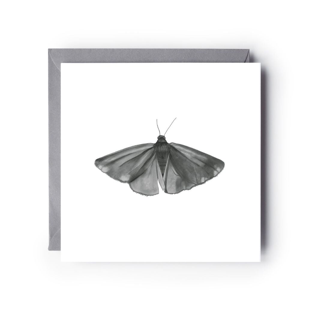 Cinnabar Moth Greeting Card