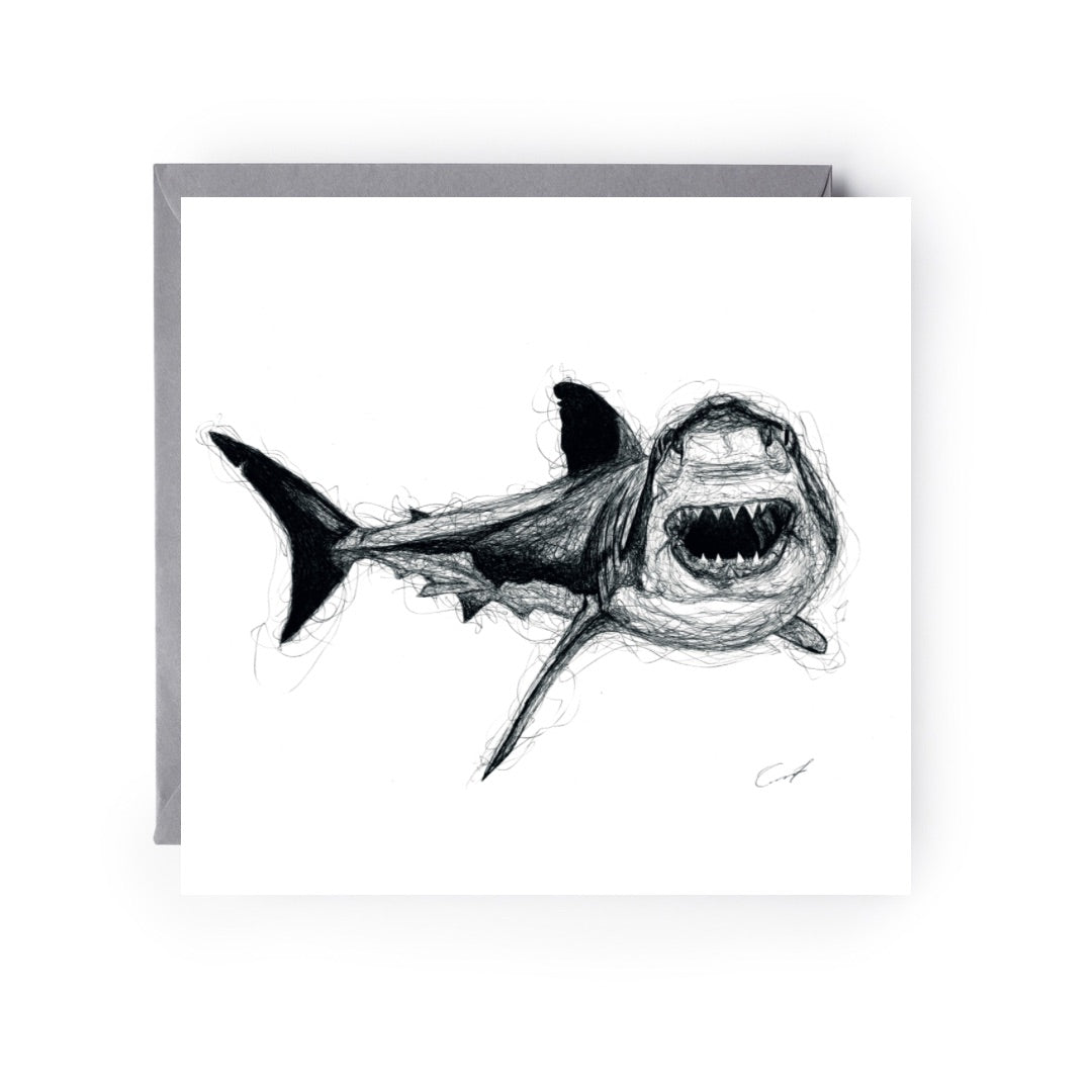 A Hand Drawn Shark Greeting Card From Libra Fine Arts