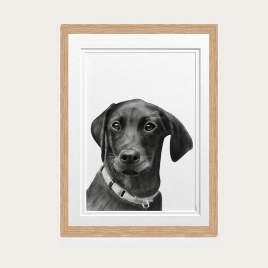 This exquisite hand-drawn Labrador dog fine art print captures the beauty and charm of this beloved breed. A must-have for dog lovers, created by Libra Fine Arts."