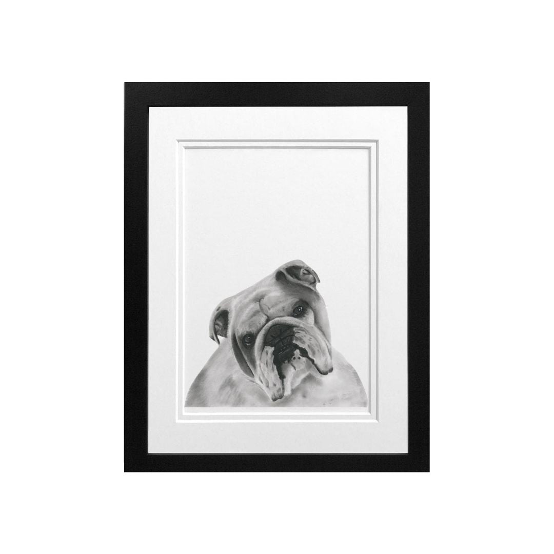Libra_Fine_Arts_Hand_Drawn_Bulldog_Print_in_black_frame. A fantastic birthday present or christmas present for dog lovers and bulldog owners