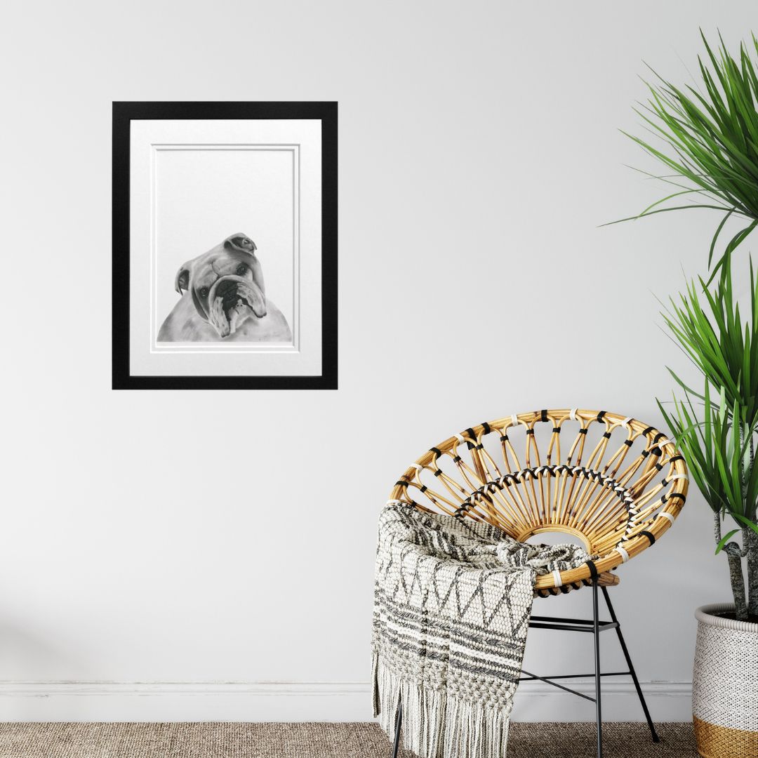 Libra_Fine_Arts_Hand_Drawn_Bulldog_Print_in_black_frame hangong on the wall. A fantastic birthday present or christmas present for dog lovers and bulldog owners