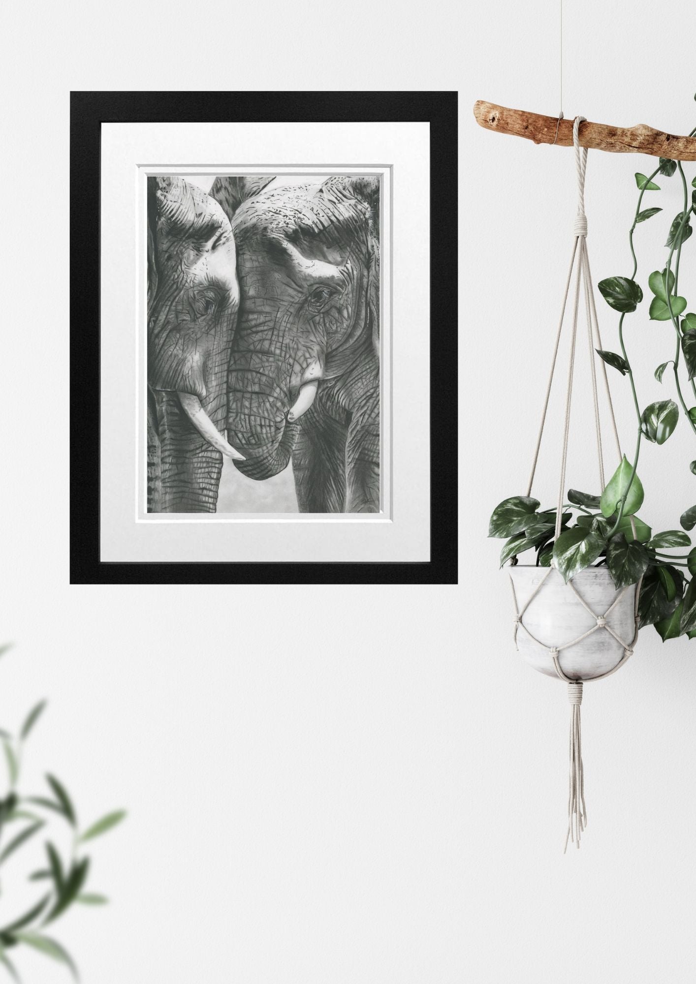 Libra_Fine_Arts_Hand_Drawn_Elephant_Tendernness_Drawing_in_Black_Frame_hanging_on_the_wall_next_to_a_plant__._A_beautiful_birthday_wedding_or_anniversary_gift_for_elephant_safari_or_animal_lovers.