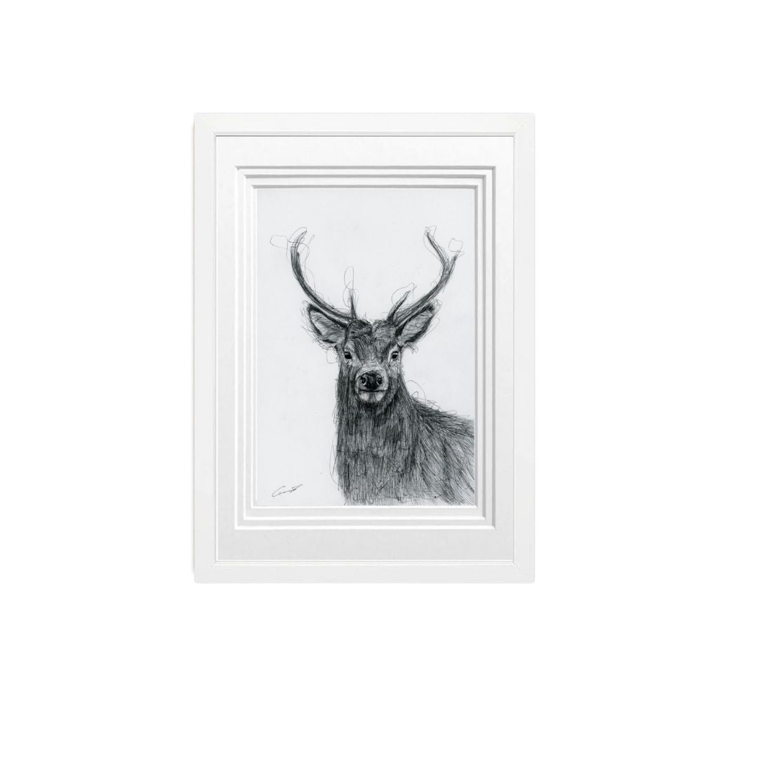 Libra_Fine_Arts_Hand_Drawn_Stag_Drawing_in_white_Frame. Part of the Scottish Highland Collection this is a perfect gift for wildlife and nature lovers