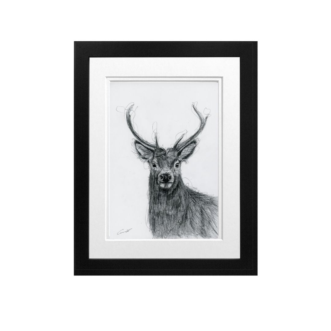 Libra_Fine_Arts_Hand_Drawn_Stag_Drawing_in_Black_Frame. Part of the Scottish Highland Collection this is the  perfect birthday gift for nature and wildlife lovers.  . 