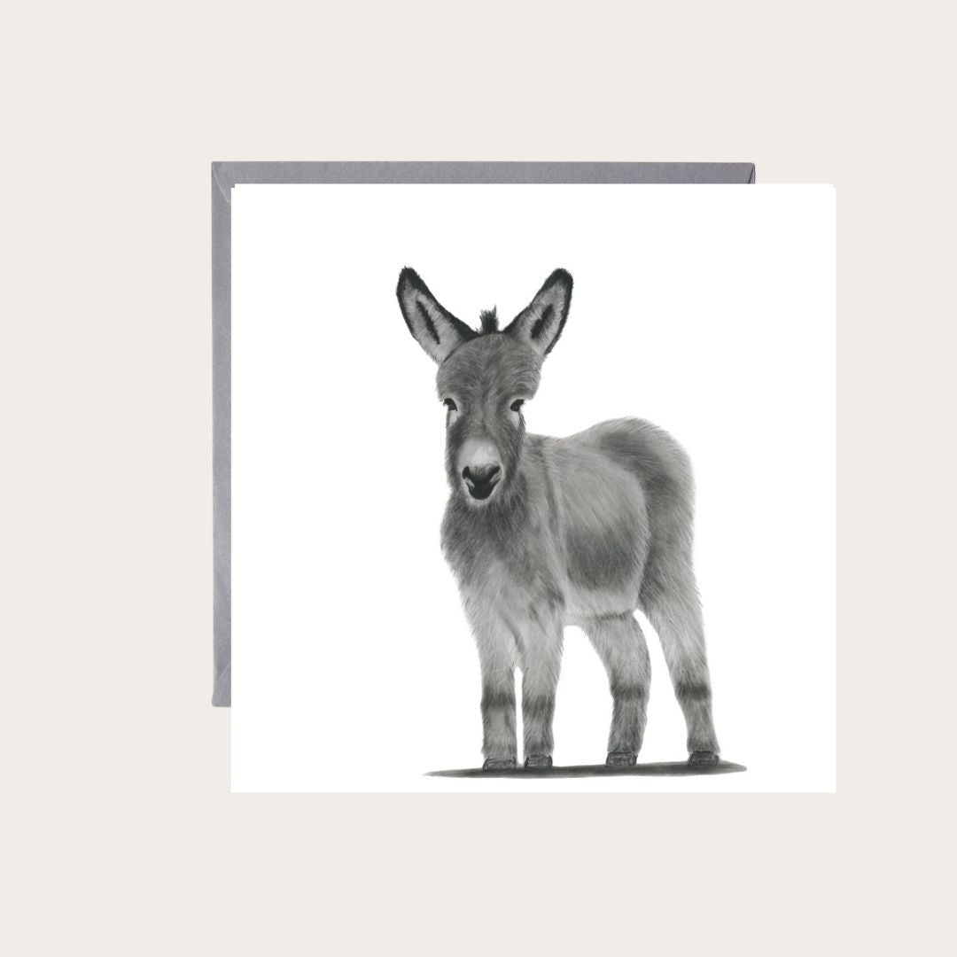 Endearing Lyra the Donkey illustration on a hand-drawn greeting card, showcasing countryside charm and animal art. Perfect for sending heartfelt messages to animal lovers, nature enthusiasts, or anyone who appreciates rustic, rural beauty.