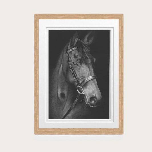 Detailed equestrian illustration of a majestic horse, ideal for animal art enthusiasts