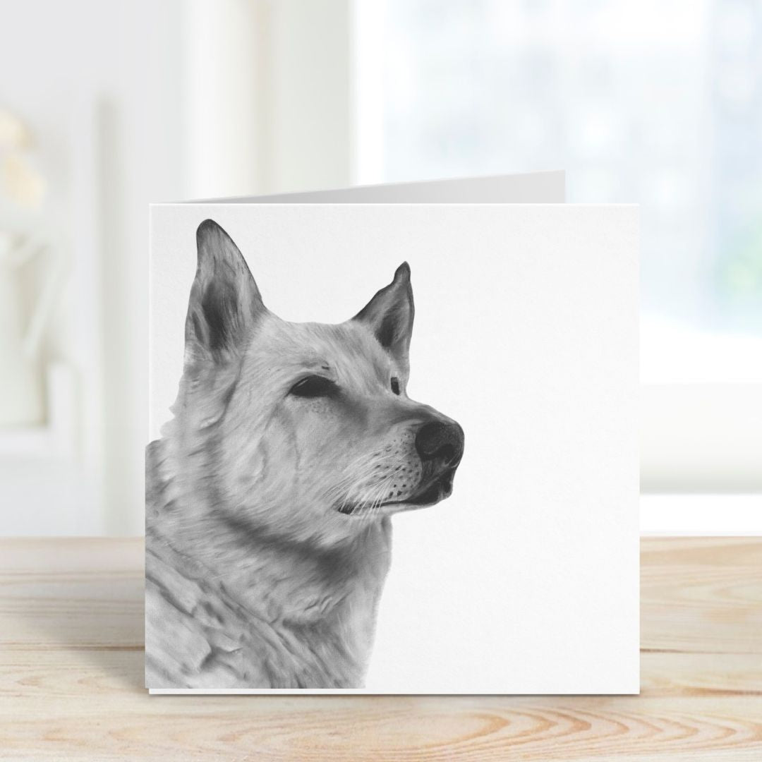  A Hand Drawn Alsatian Dog Greeting Card From Libra Fine Arts