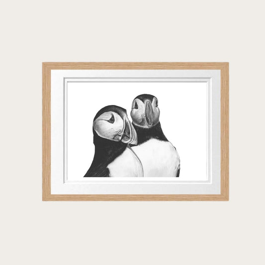 Hand-drawn puffin illustration on fine art paper, capturing the charm of these seabirds.