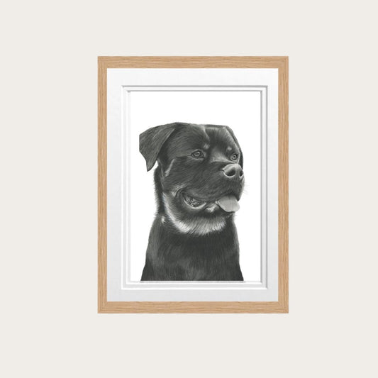 Striking Rottweiler fine art print, featuring a hand-drawn illustration of this powerful and loyal dog breed. Perfect for Rottweiler lovers, dog enthusiasts, and those seeking unique animal art for their home. Ideal for living rooms, offices, or as a special gift for dog lovers