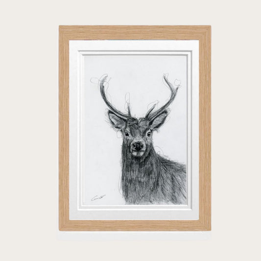 Hand-drawn fine art print of a majestic stag, capturing the beauty and elegance of wildlife. A perfect addition to nature-inspired decor and wildlife art collections.