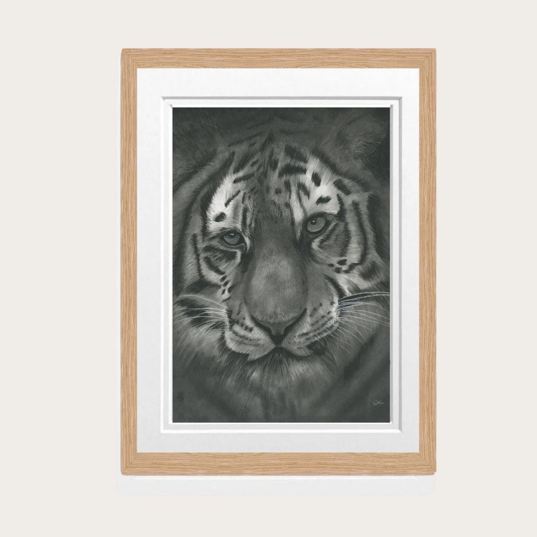 Hand-drawn tiger fine art print, showcasing a majestic wildlife illustration.