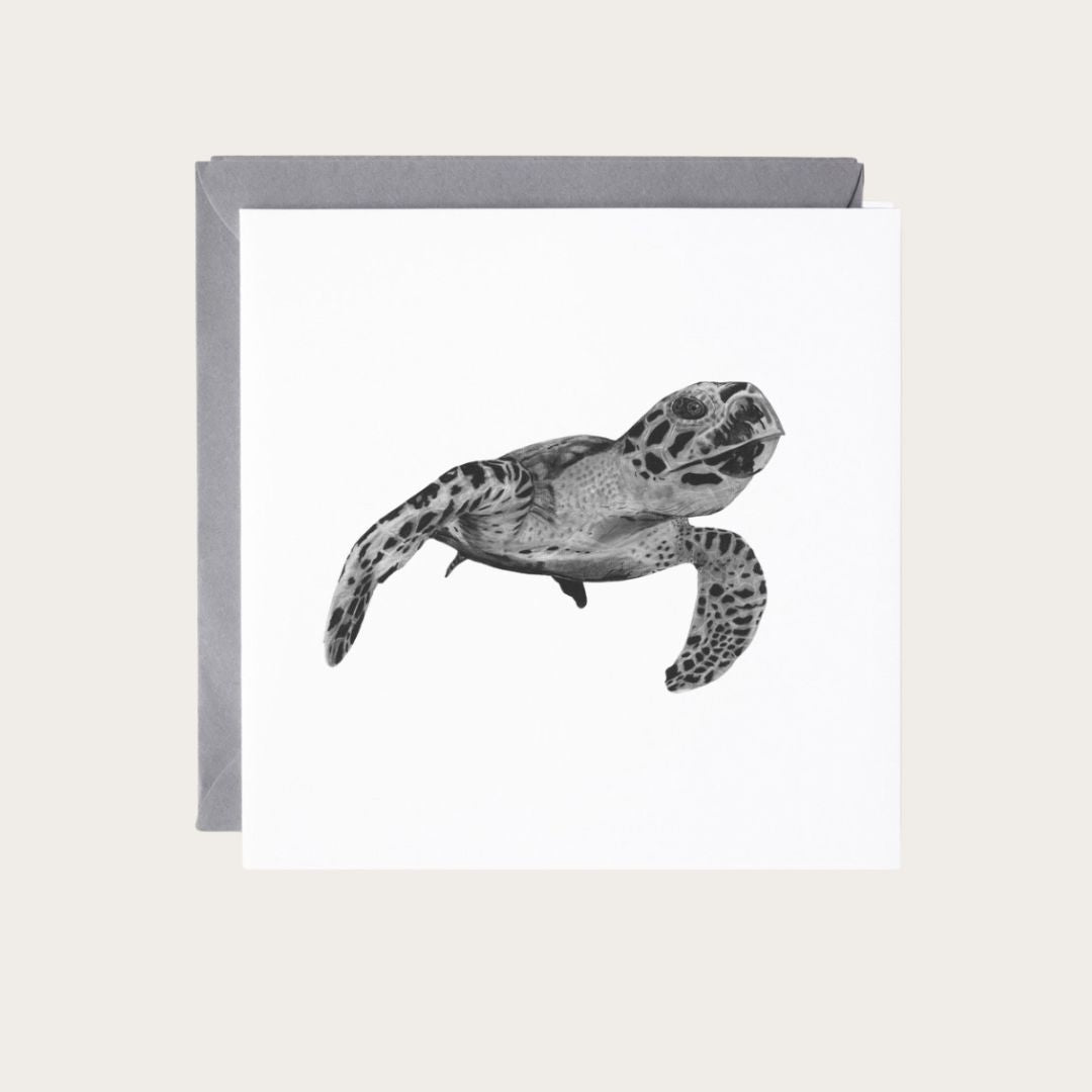 Beautiful marine life art of Heze the Turtle on a hand-drawn greeting card, perfect for ocean enthusiasts.