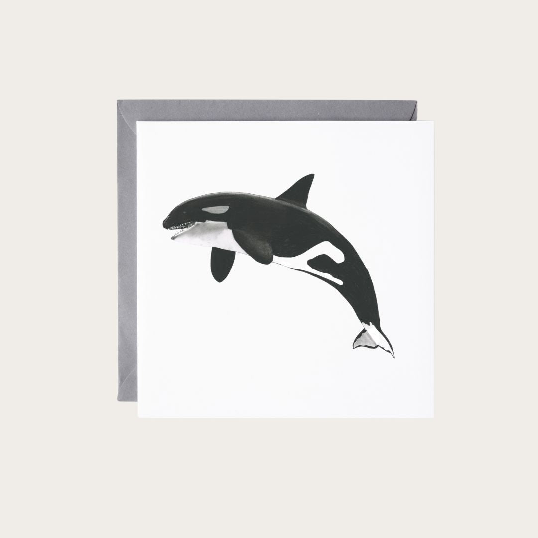 Stunning marine wildlife art of Lynx the Killer Whale on a hand-drawn greeting card, perfect for ocean enthusiasts.