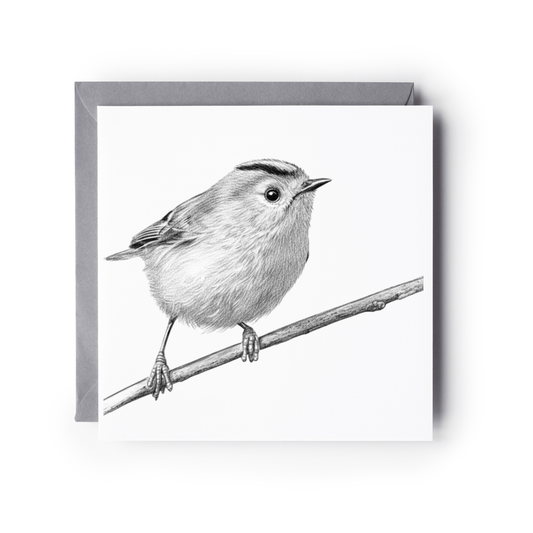 Goldcrest Bird Greeting Card