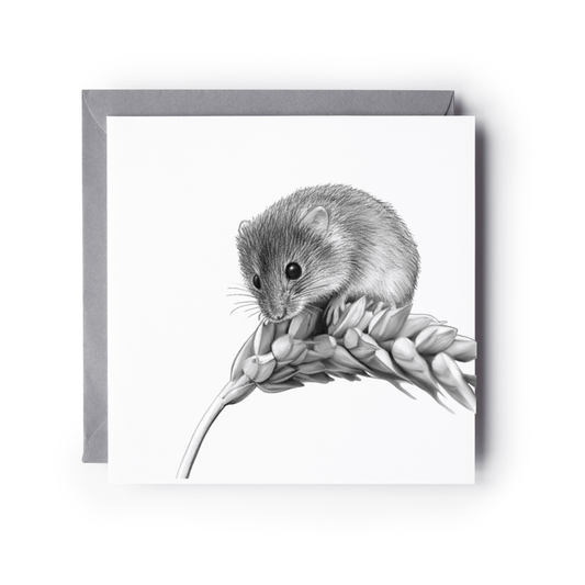 Field Mouse Greeting Card