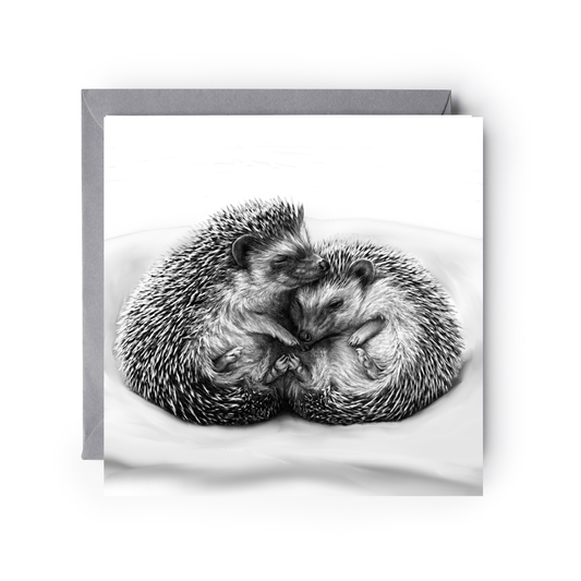 Hedgehog Cuddles Greeting Card