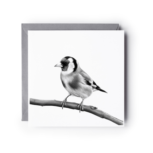 Goldfinch Bird Greeting Card