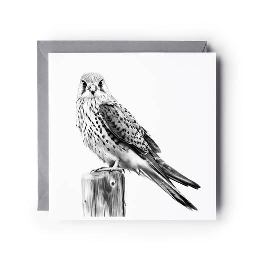Majestic Kestrel Bird Greeting Card
