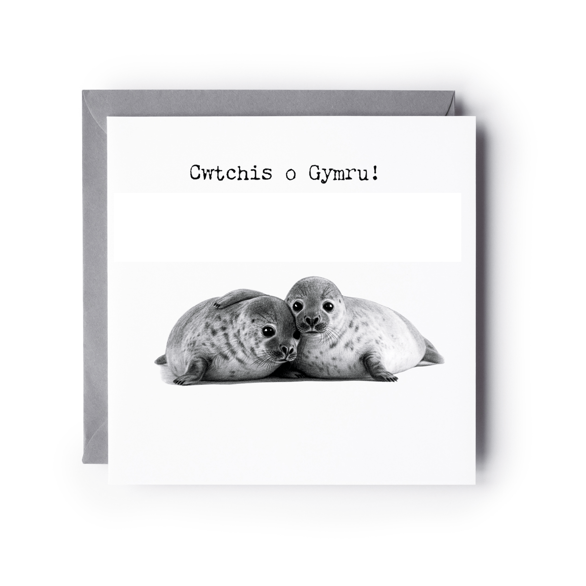 Cwtch o Gymru – Cute Seals Greeting Card