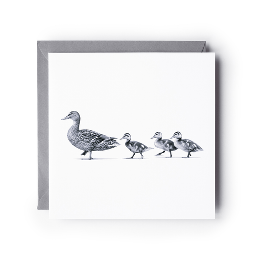 Ducks in a Row Greeting Card