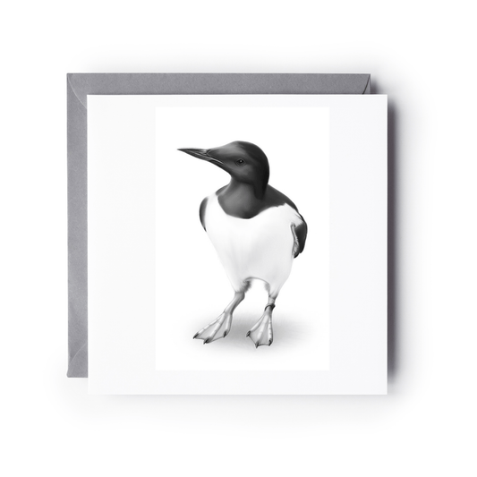 Guillemot Hand-Drawn Greeting Card