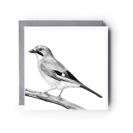 Jay Hand-Drawn Greeting Card