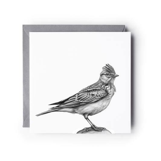 Skylark Hand-Drawn Greeting Card
