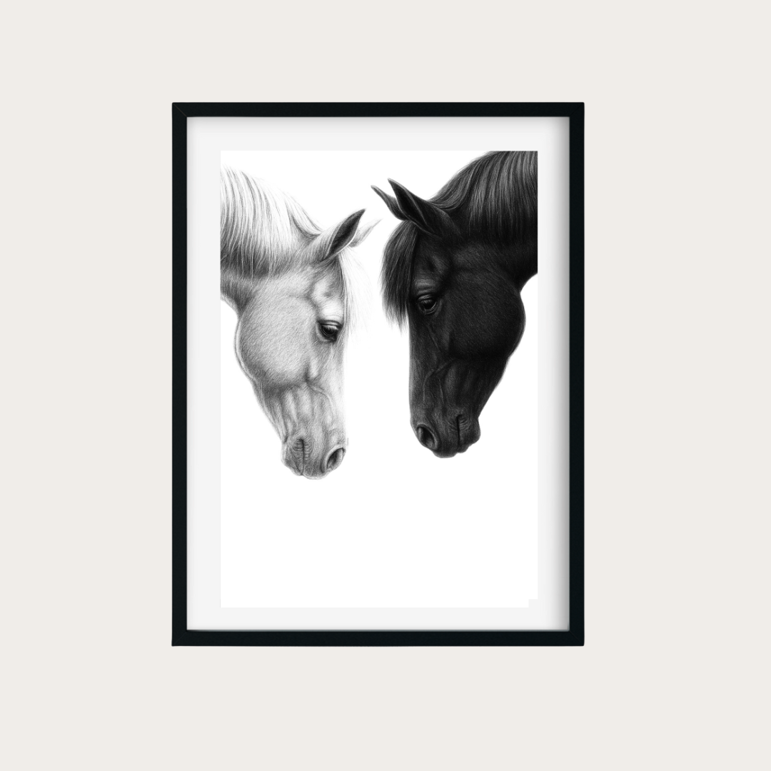 Ebony & Ivory – Horse Couple Print | Hand-Drawn Equestrian Art