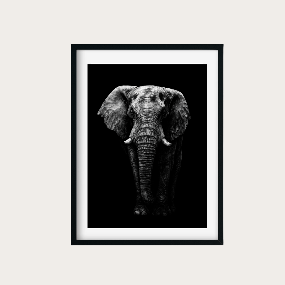 Atik the Elephant Fine Art Print – Hand-Drawn Wildlife Artwork
