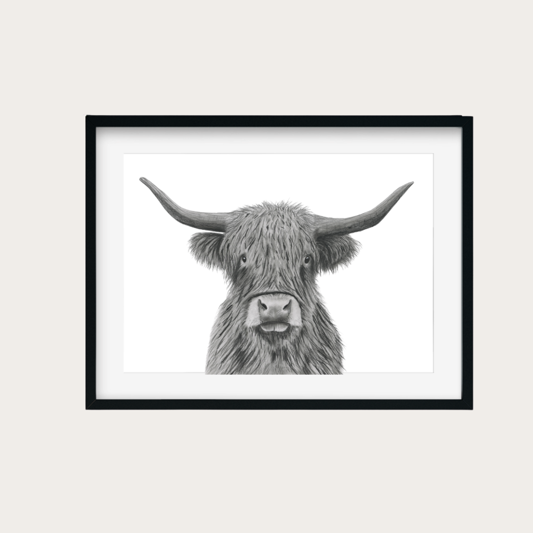 Highland Cow Print | Hand-Drawn Scottish Wildlife Art