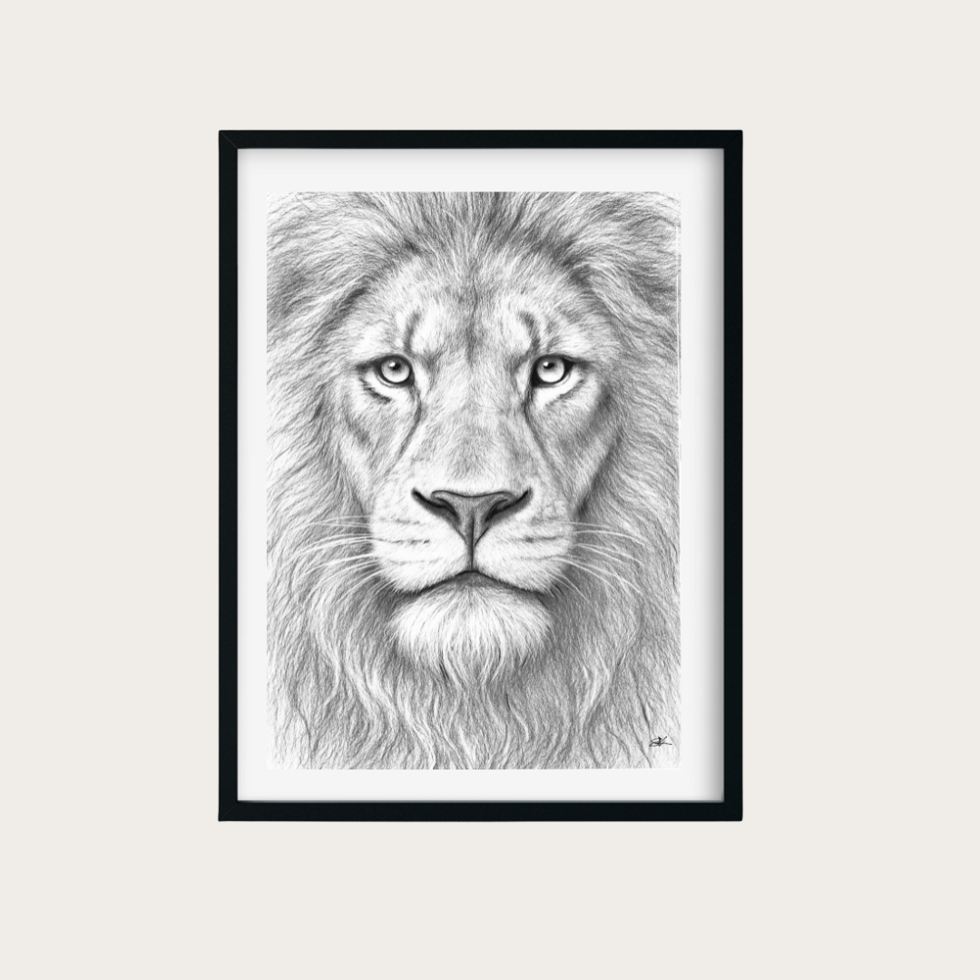 Majestic Lion Close-Up | Hand-Drawn Wildlife Artwork