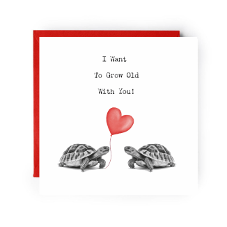 I Want To Grow Old With You – Tortoise Love Card