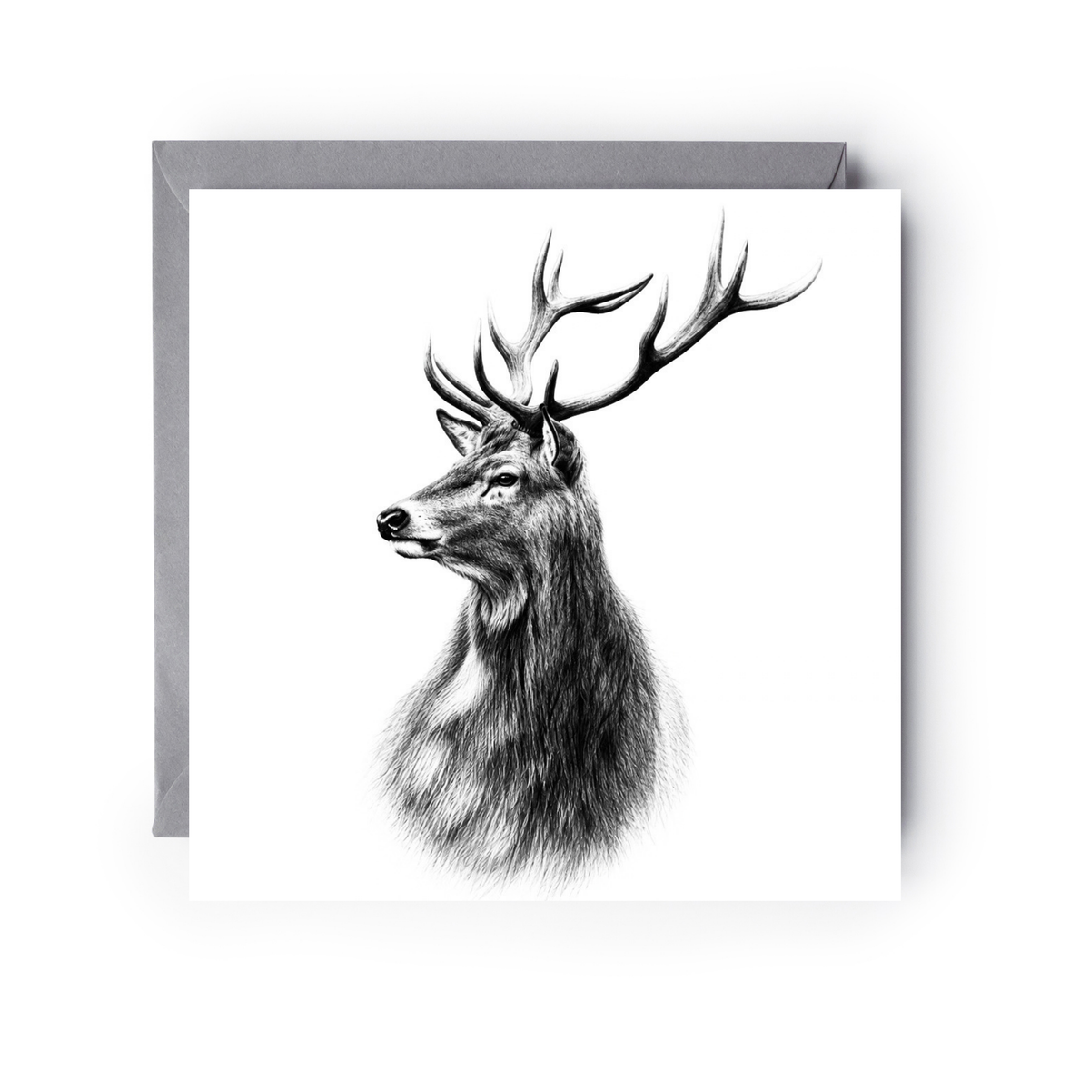Highland Stag Hand Drawn Greeting Card
