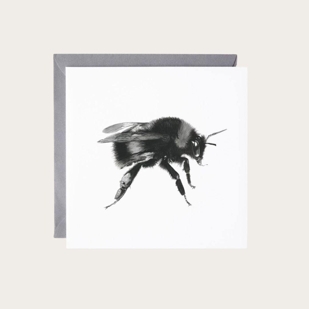 A handcrafted linocut greeting card featuring a white-tailed bumblebee, printed on recycled paper. Ideal for nature enthusiasts and supporters of eco-friendly products. Available on Etsy.