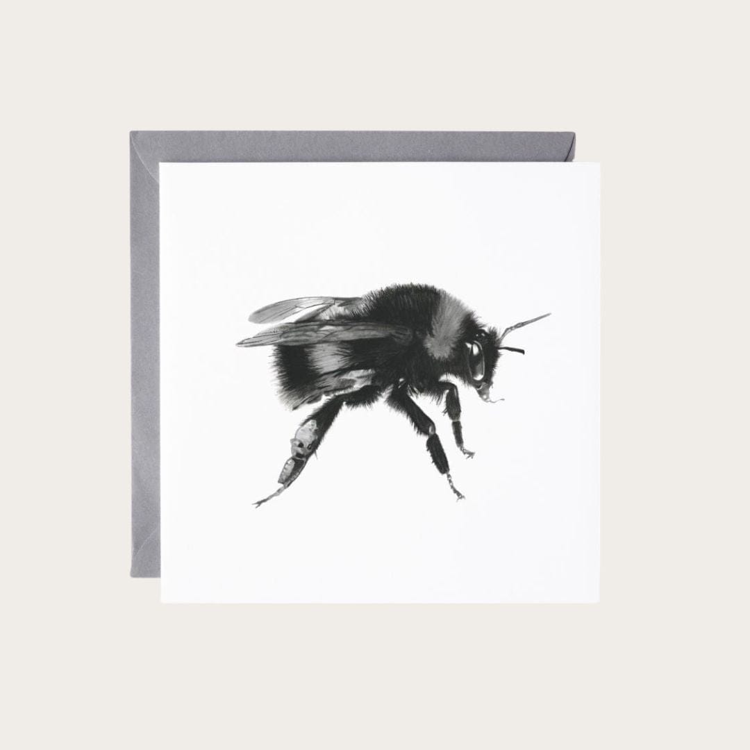 White-tailed Bumble Bee greeting card, nature-inspired art for bee and wildlife lovers