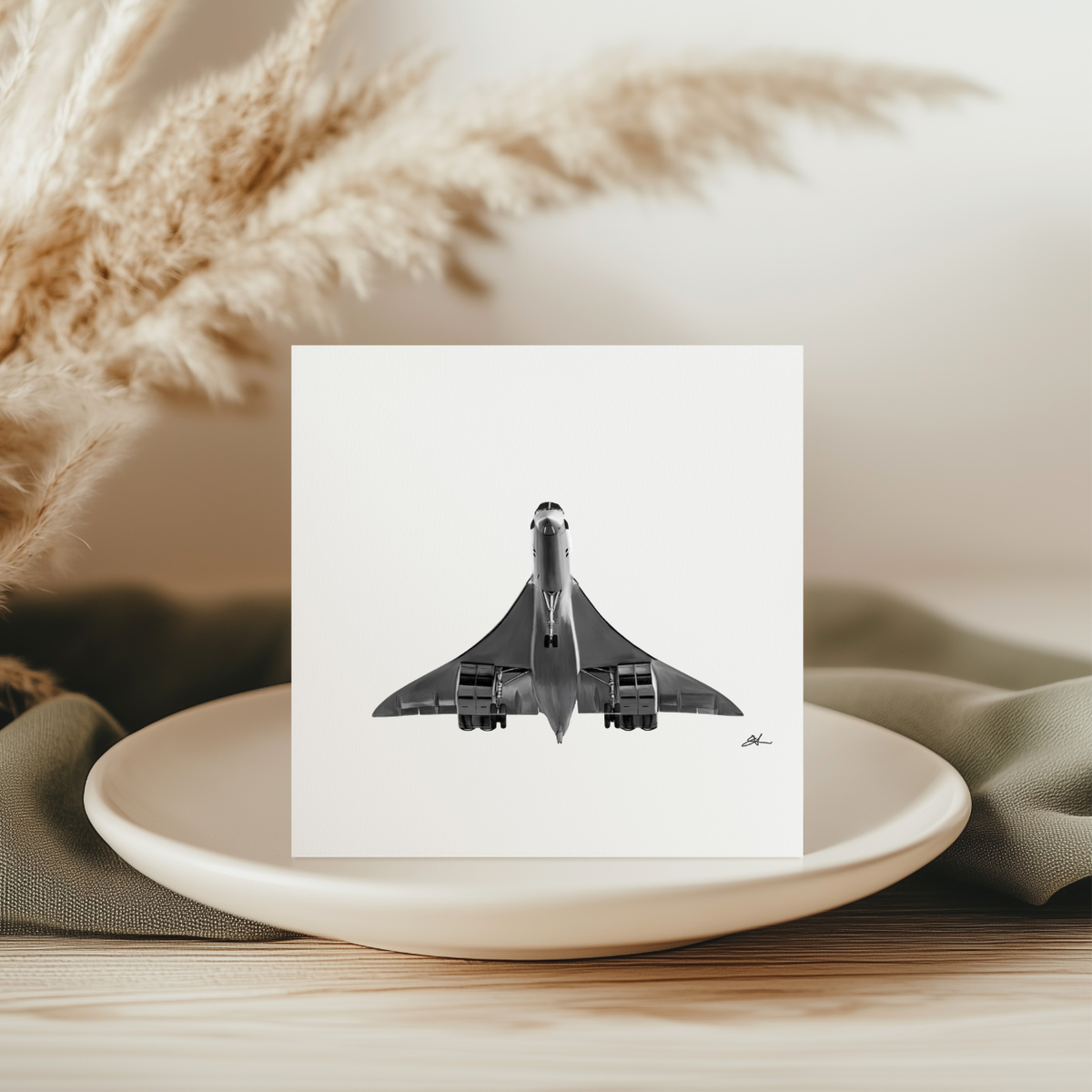 Concorde Final Approach