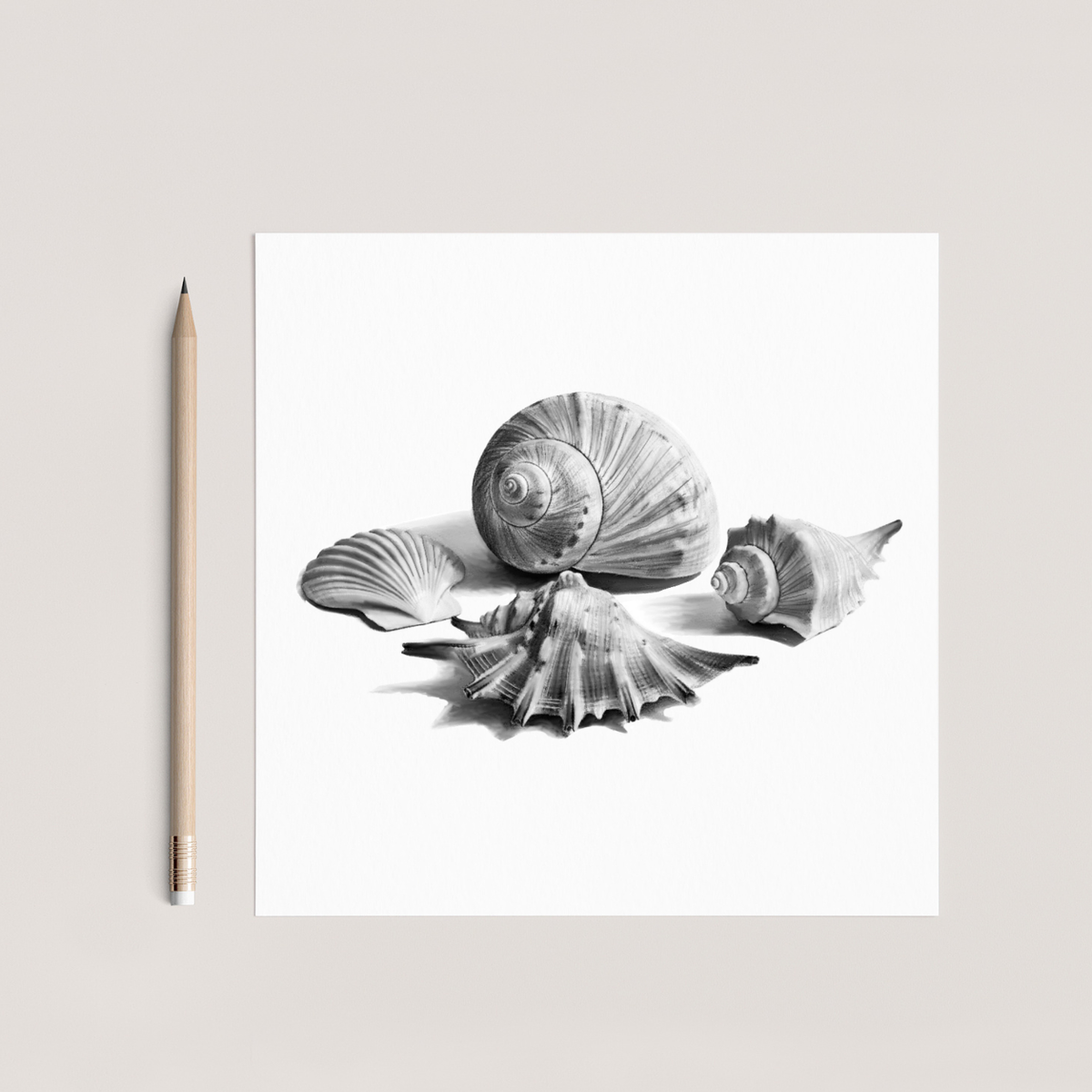 Shells