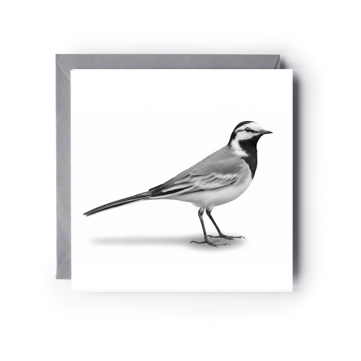 Wagtail Bird Greeting Card | Hand-Drawn British Wildlife Illustration