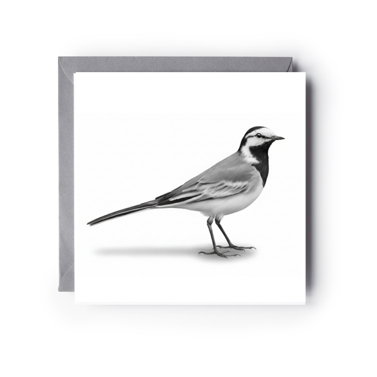 Wagtail Bird Greeting Card | Hand-Drawn British Wildlife Illustration
