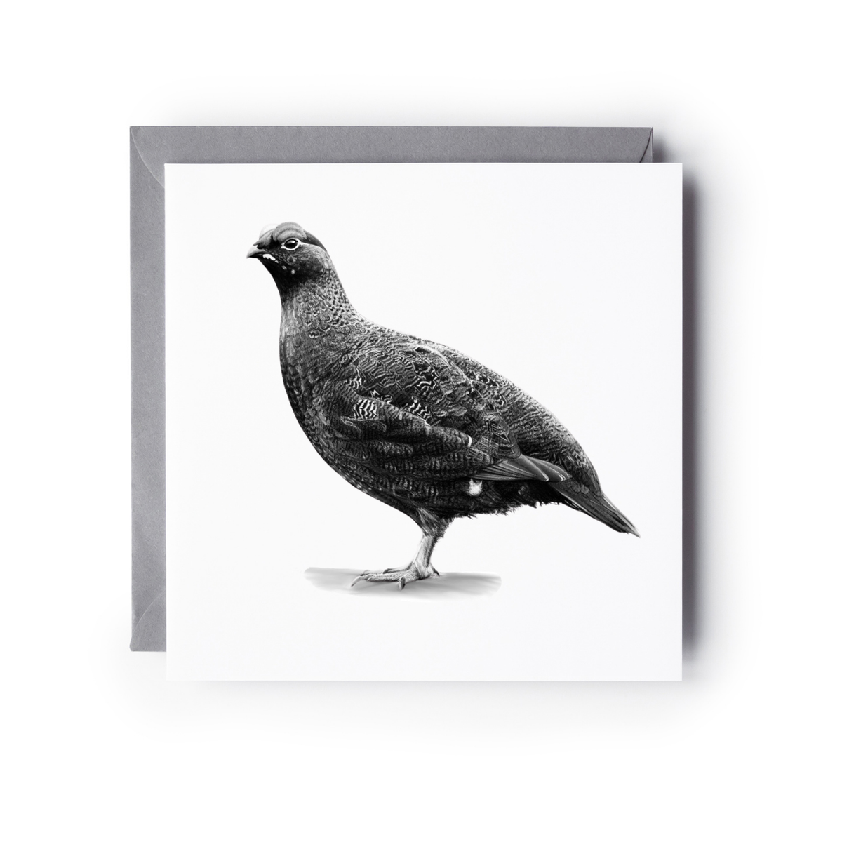 Red Grouse – British Wildlife Greeting Card (Copy)