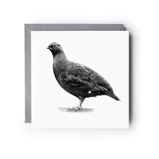 Red Grouse – British Wildlife Greeting Card (Copy)
