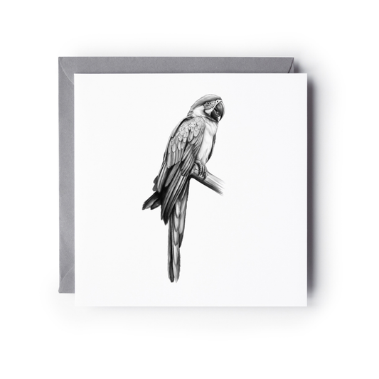 The Parrot Hand-Drawn Greeting Card – Exotic Wildlife Illustration