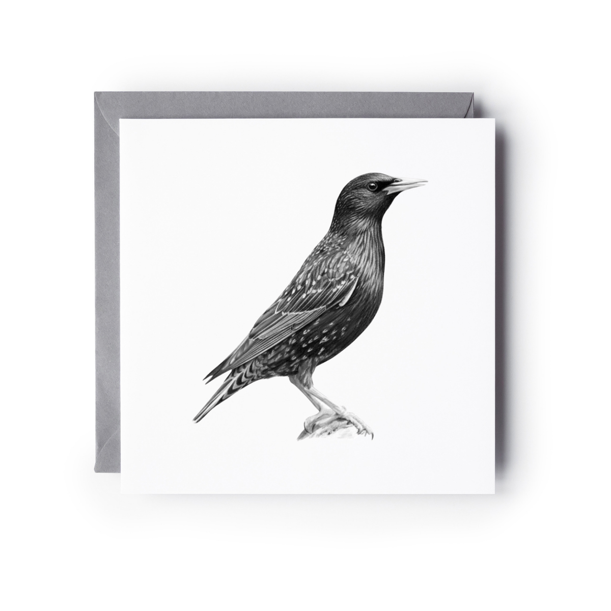 Starling Bird Greeting Card | Hand-Drawn British Wildlife Illustration