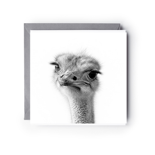 Theta the Ostrich Fun Greeting Card