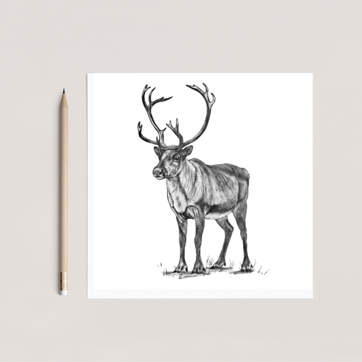 Cygnus the Reindeer Hand Drawn Greeting Card