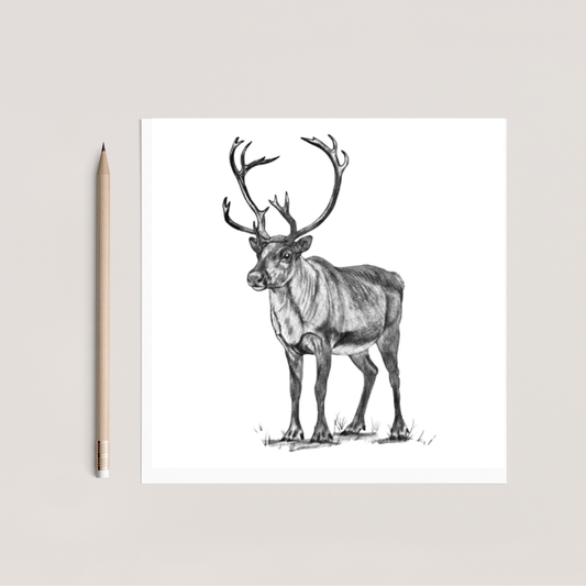 Cygnus the Reindeer Hand Drawn Greeting Card
